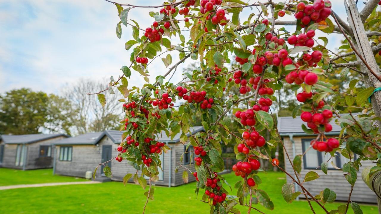 Warrenwood Country Park Hotell Polegate Exteriör bild